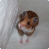 Qype User (charli…)